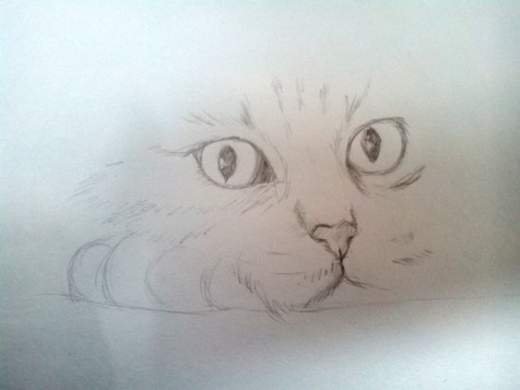 Как нарисовать кота карандашом? Шаг 5. Портреты карандашом - Fenlin.ru