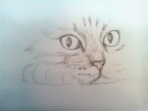 Как нарисовать кота карандашом? Шаг 7. Портреты карандашом - Fenlin.ru