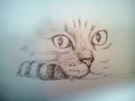 Как нарисовать кота карандашом? Шаг 8. Портреты карандашом - Fenlin.ru