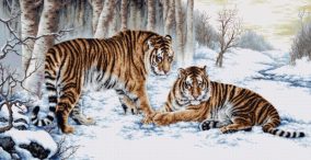 Вышивка «Bengal tiger»
