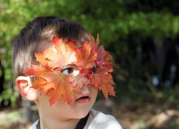 Интересные и красивые поделки из осенних листьев в садик и школу osennie podelki iz listev 25