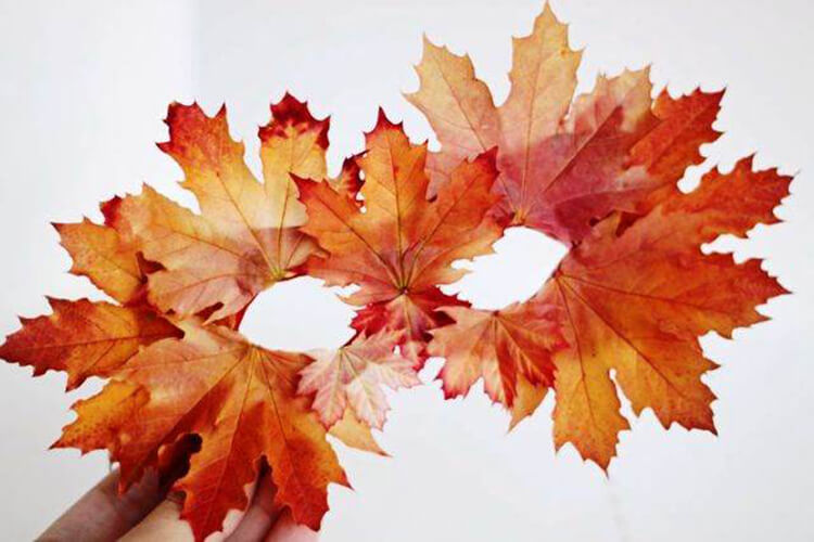 Интересные и красивые поделки из осенних листьев в садик и школу osennie podelki iz listev 27
